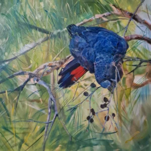 Black Cockatoo's Rest