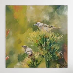 Honey Eaters On Agave Flower Spike