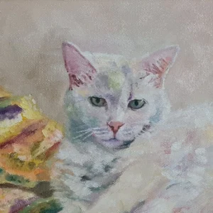 White Cat On Her Blanket - Talisman