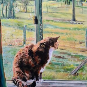 Looking Out. Looking In.