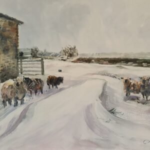A Break In The Weather - sheep in snow