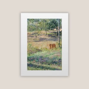Brangus Calves Outside Of Monto Print