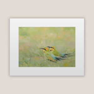 Rainbow Bee-Eater Pair Print