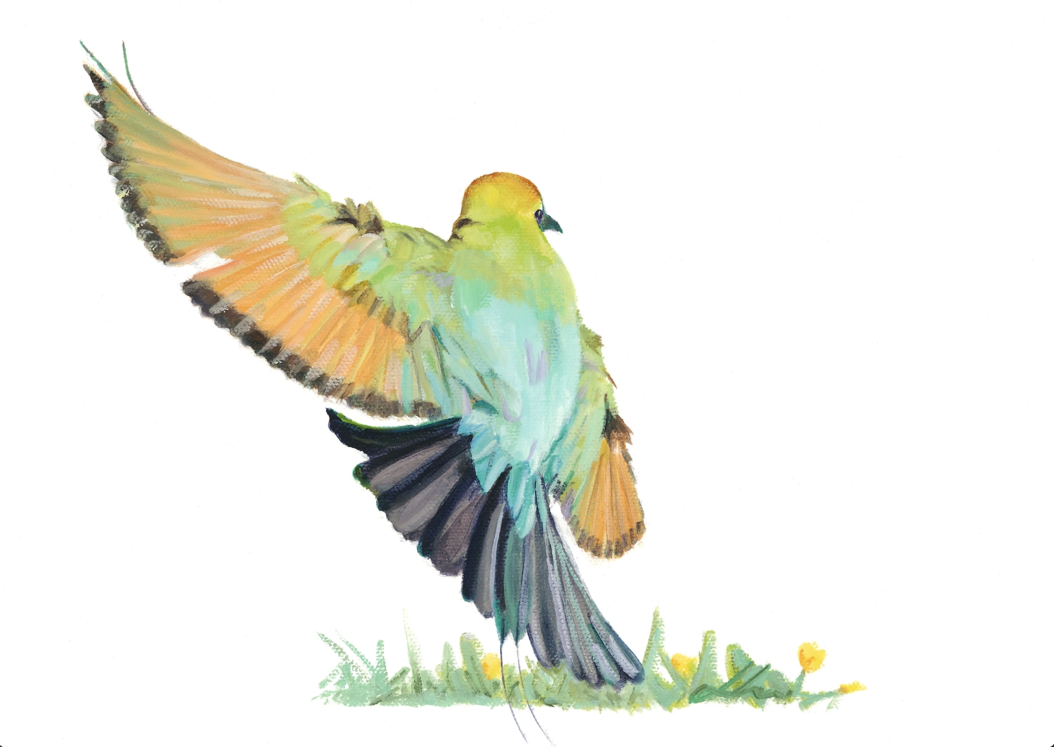 Resident Rainbow Bee Eater In Flight Greeting Card - Image 2