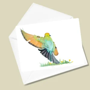 Resident Rainbow Bee Eater In Flight Greeting Card