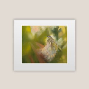 Rainbow Bee Eater In Flight Print