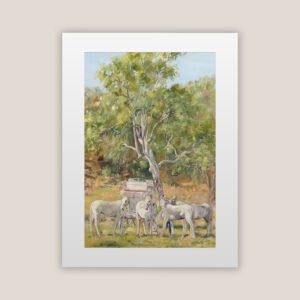 Cobb & Co Breaking Camp Print