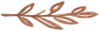 Eucalypt Leaves