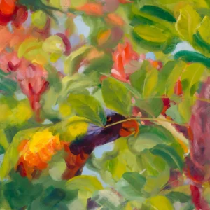 If A Soul Was A Rainbow Lorikeet In A Drunken Parrot Tree