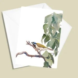 Blue Faced Honeyeater Greeting Card
