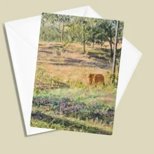 Brangus Calves Outside Monto Greeting Card