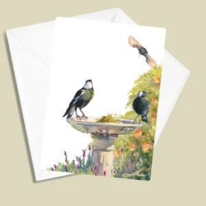 Resident Magpies & Dive Bomber Willy Wagtail Greeting Card