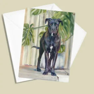 Password Greeting Card